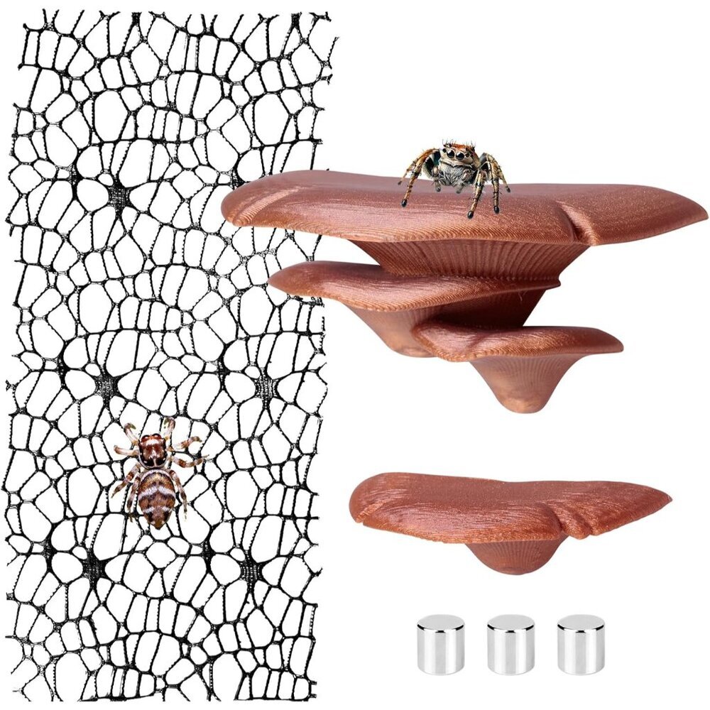 Jumping Spider Hide Habitat Accessories, Brown Jumping Spider Enclosure Mushroom